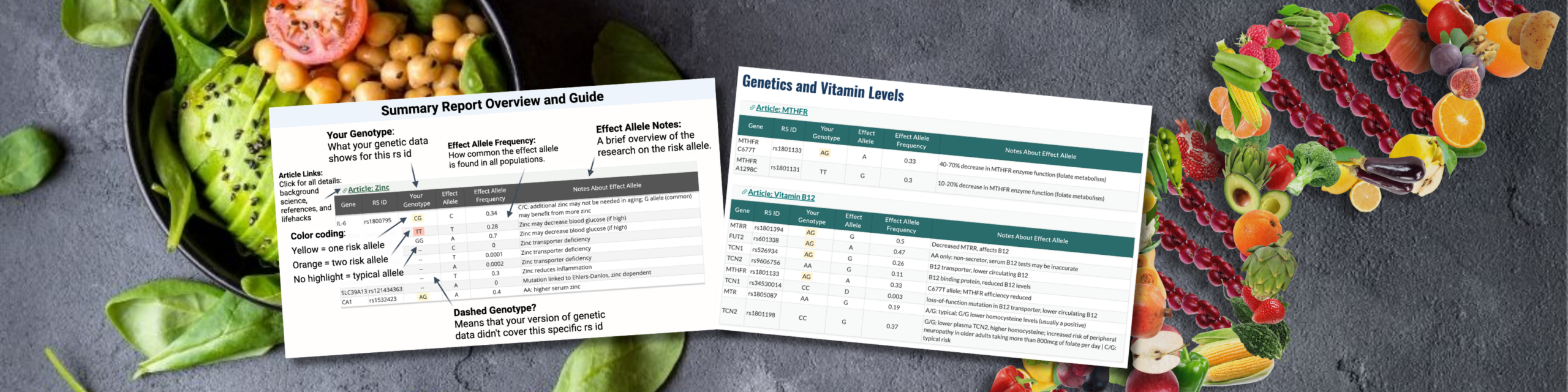 image showing reports and DNA diet connection