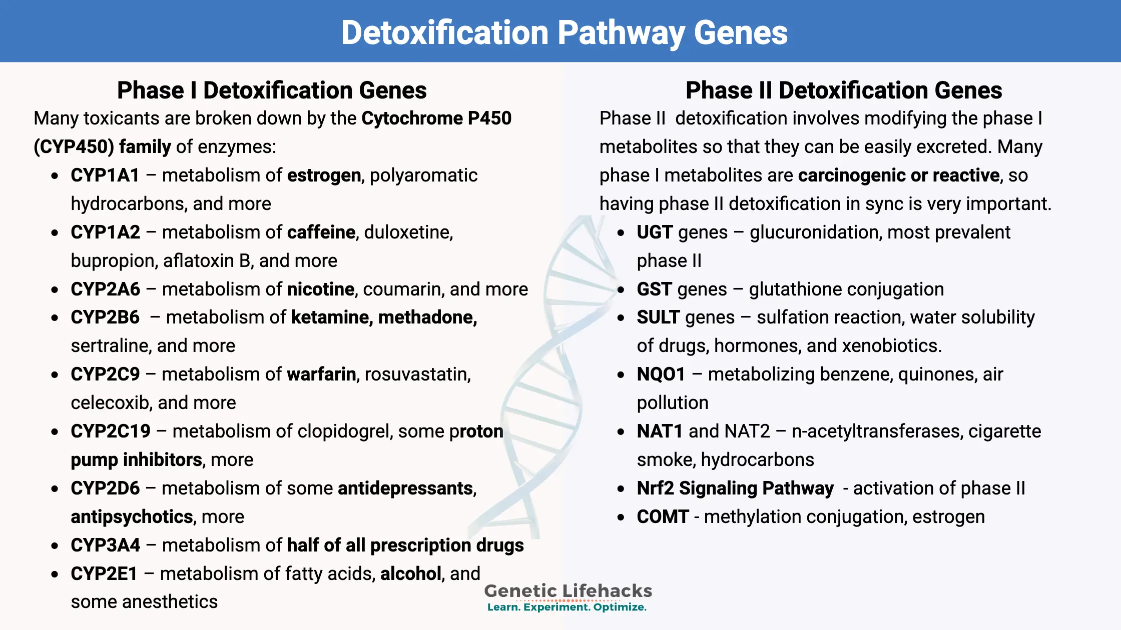 List of Phase I and Phase II Detoxification Genes