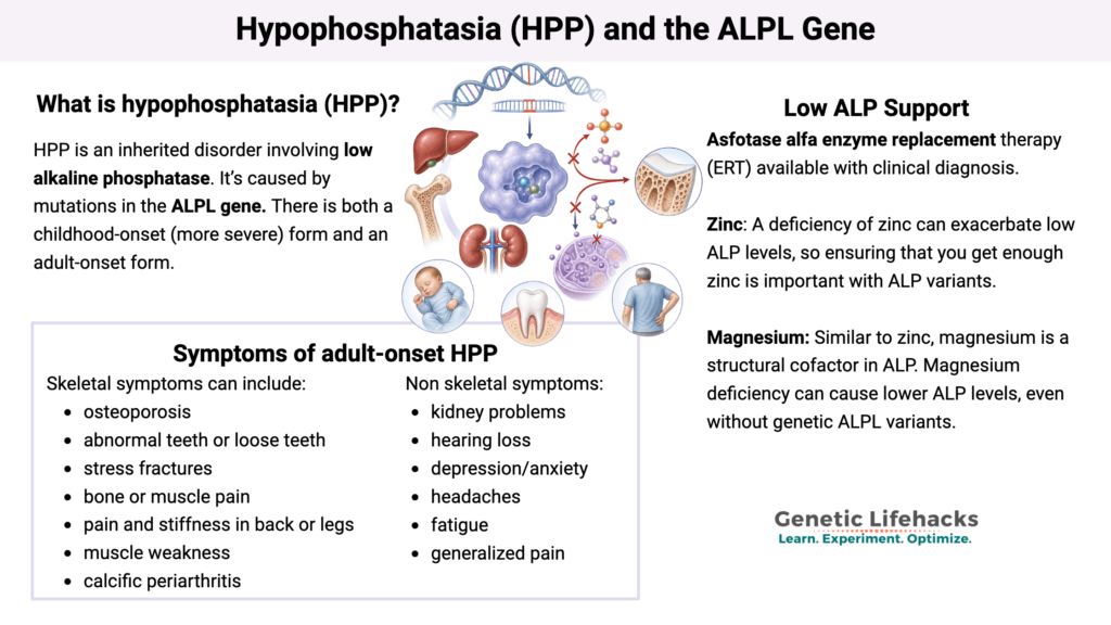 Hypophosphatasia (HPP) and the ALPL Gene, Symptoms of adult-onset HPP, Low ALP Support